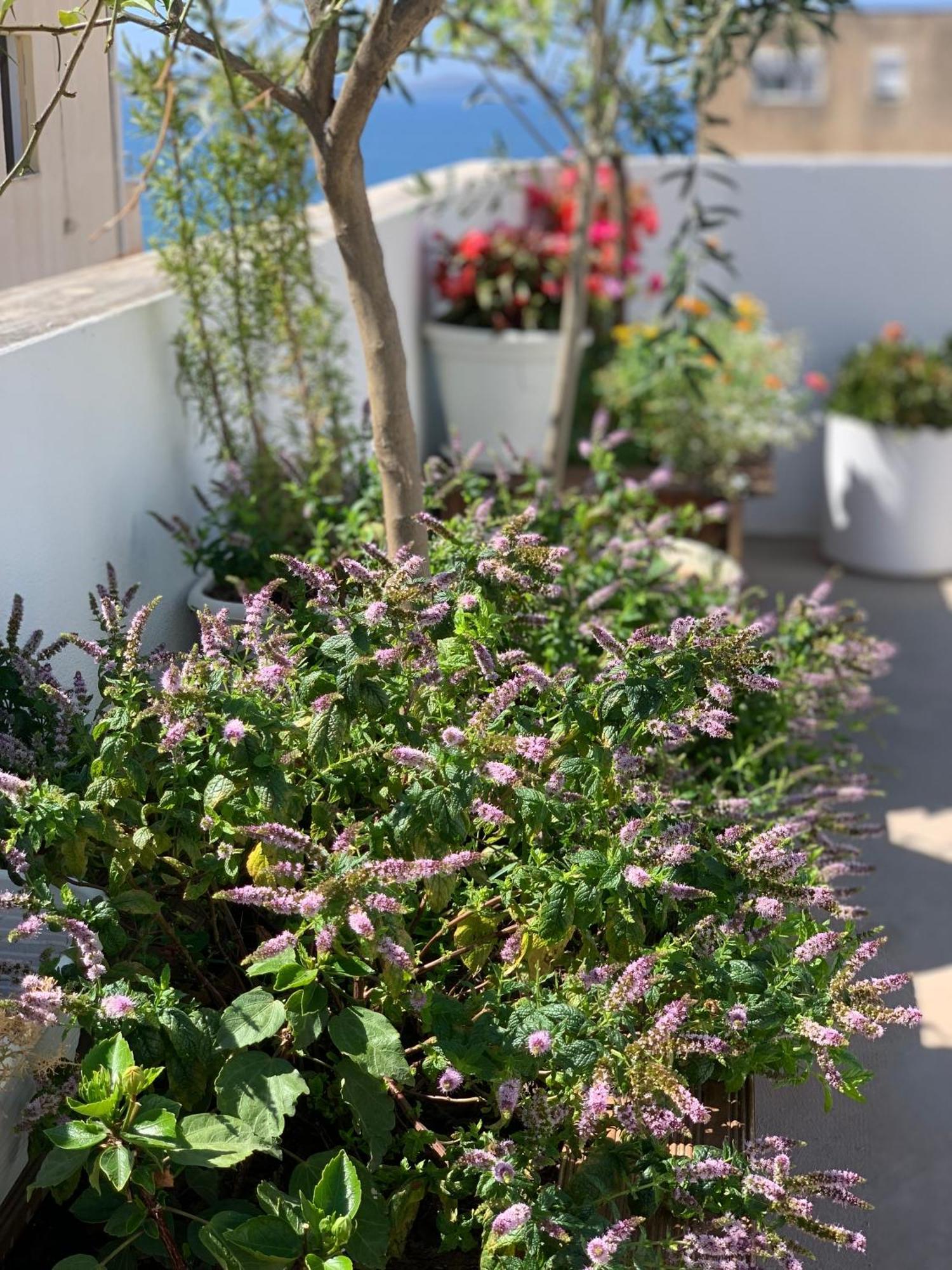 Dream Apartments Saranda Екстериор снимка
